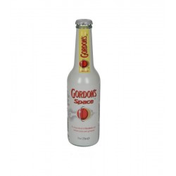 GORDON'S SPACE 24X275ml